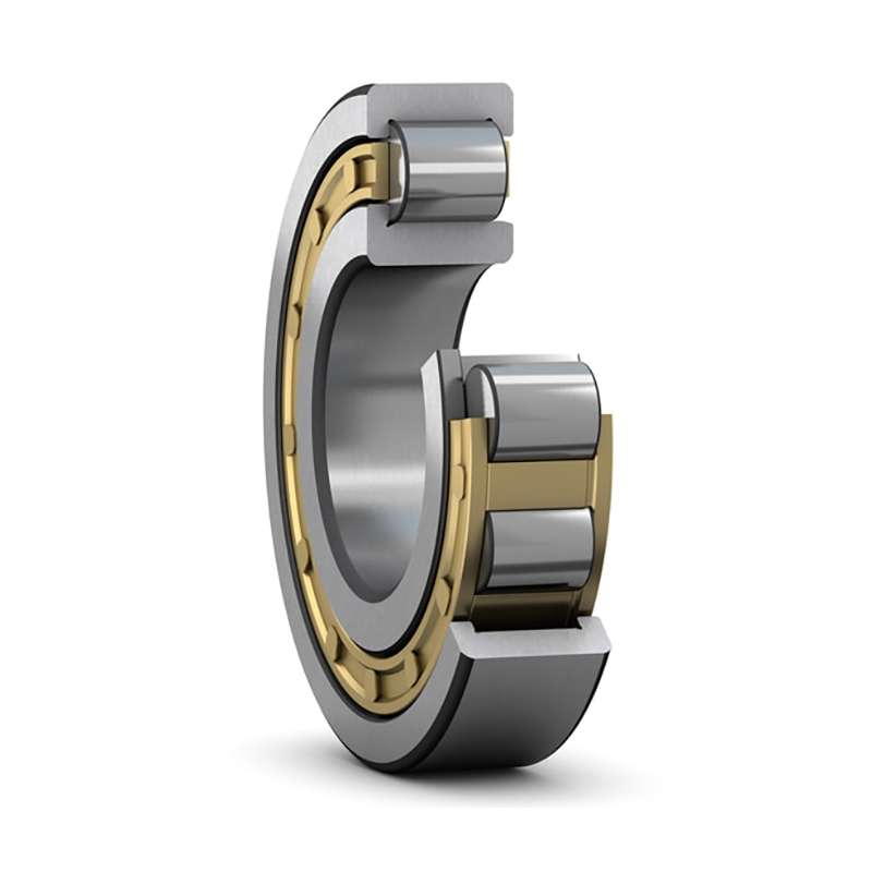 Cylindrical Roller Bearings Anatomy Applications FHD