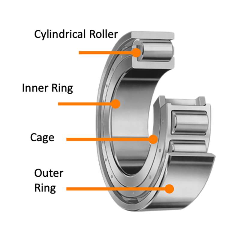 Cylindrical roller bearings,Roulements à rouleaux cylindriques,Rodamientos de rodillos cilíndricos,Rolamentos de rolos cilíndricos,Cylindrical Roller Bearing,cylindrical rollerbearing