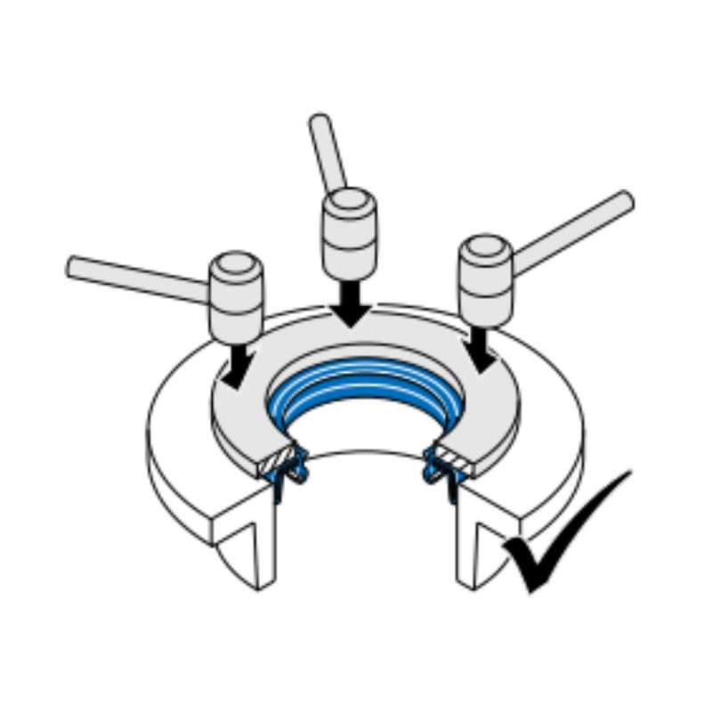 Oil Seals