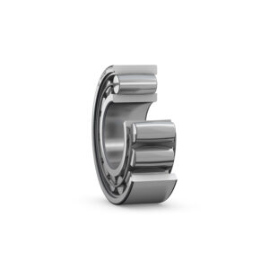 Toroidal Roller Bearings