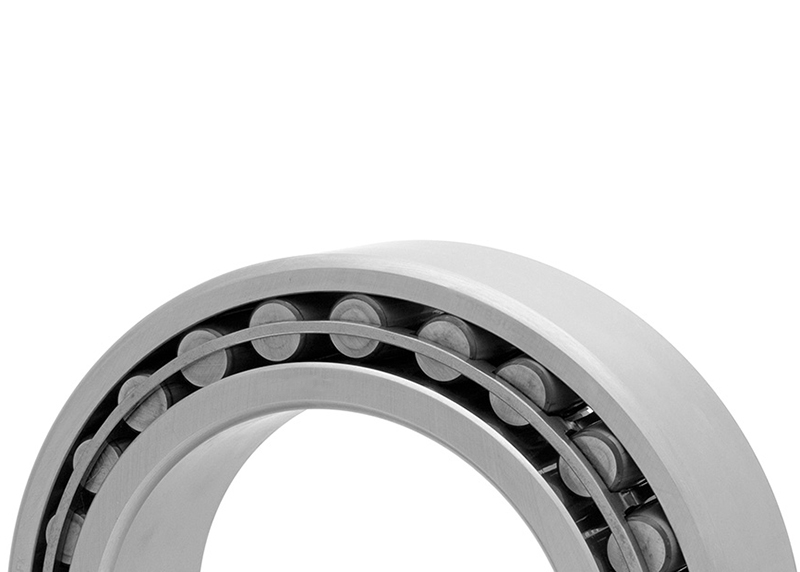 Toroidal Roller Bearings