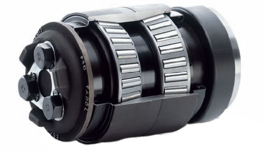 locomotive bearing